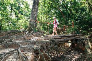 BIB: 
                            <button type="button" onclick="openModal(27800400)" class="btn btn-primary btn-sm float-right btn-popup" data-toggle="modal" data-target=".modal-high-quality">
                        <i class="fas fa-shopping-cart"></i> Add to Cart
                    </button>
                                            <button type="button" onclick="isThisMe(27800400, true)" class="btn btn-success btn-sm float-right btn-popup btn-isme hidden" data-toggle="tooltip" data-placement="bottom" title="นี่คือรูปของคุณใช่ไหม คลิกที่นี่เพื่อเอาเข้าอัลบั้ม">
                        <i class="fas fa-plus"></i> Add to album
                    </button>
                    <button type="button" onclick="isThisMe(27800400, false)" class="btn btn-warning btn-sm float-right btn-popup btn-isnotme hidden">
                        <i class="fas fa-ban"></i> Remove from album
                    </button>